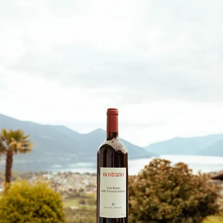 Casa Teatro Panoramico 5 Star House Locarno